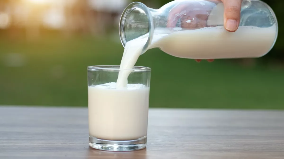 Manfaat Susu